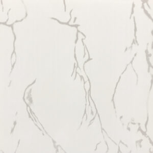B27 PVC Ceiling 4mx250mm