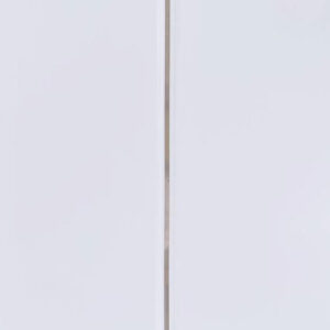 CL01 PVC Ceiling 4mx250mm